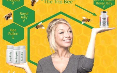 The Trio Bee